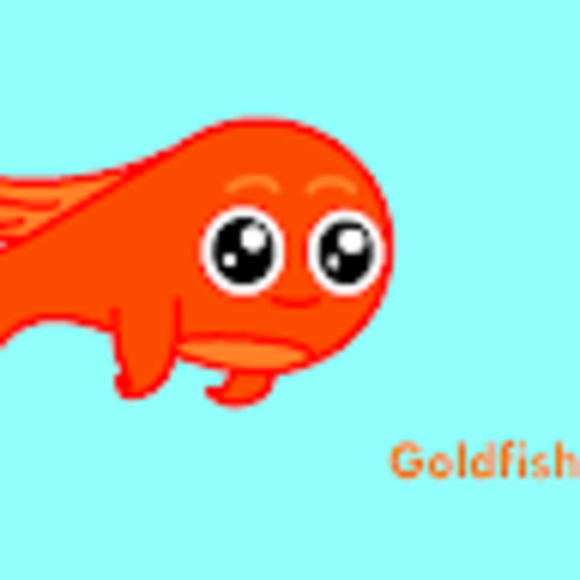 Meet your Posher, Maddy - Picture 1 of 1